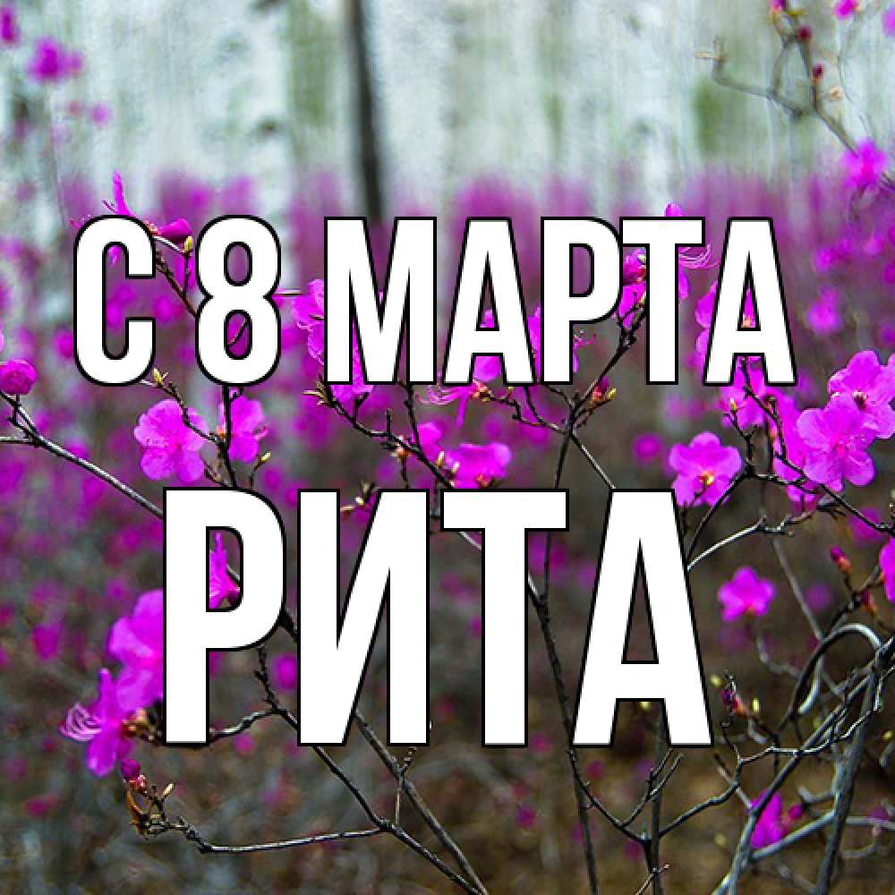 Открытка на каждый день с именем, Рита C 8 МАРТА дикие цветы Прикольная открытка с пожеланием онлайн скачать бесплатно 
