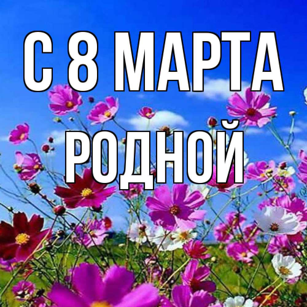 Открытка на каждый день с именем, Родной C 8 МАРТА цветы Прикольная открытка с пожеланием онлайн скачать бесплатно 