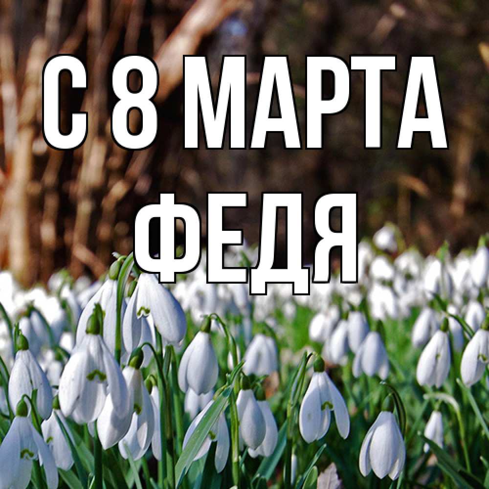 Открытка на каждый день с именем, Федя C 8 МАРТА с подснежниками 1 Прикольная открытка с пожеланием онлайн скачать бесплатно 