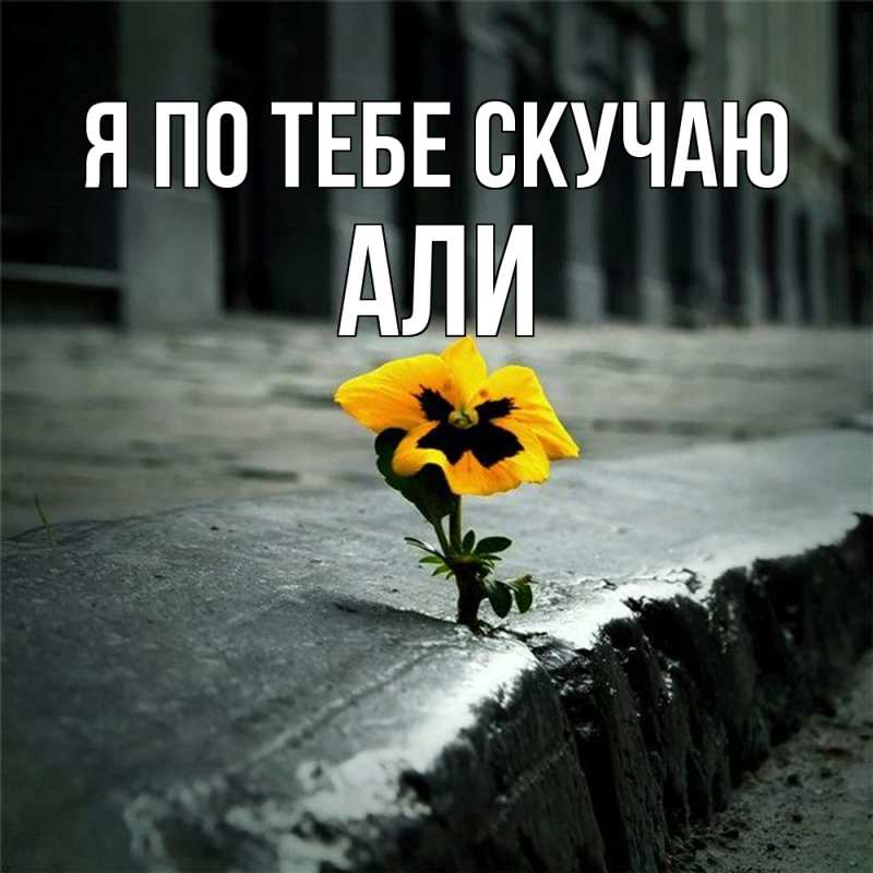 Картинка Я по тебе скучаю, Али