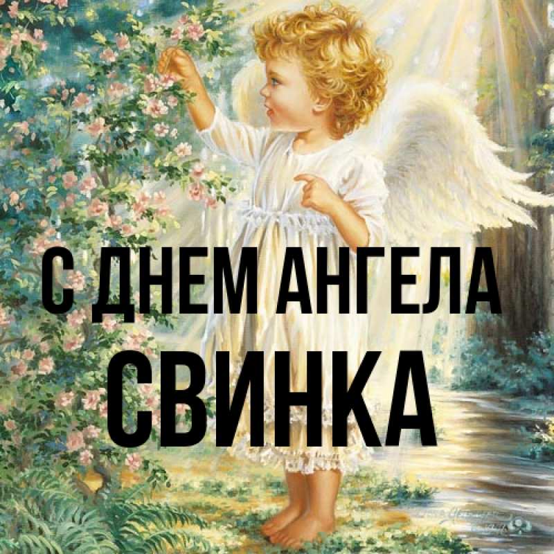 Картинка С днем ангела, Свинка