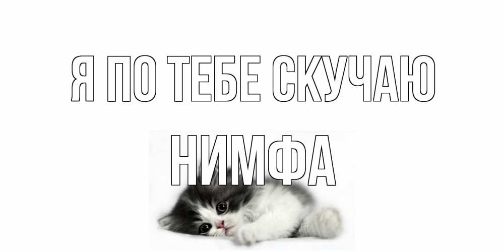 Открытка на каждый день с именем, Нимфа Я по тебе скучаю кот, скука Прикольная открытка с пожеланием онлайн скачать бесплатно 