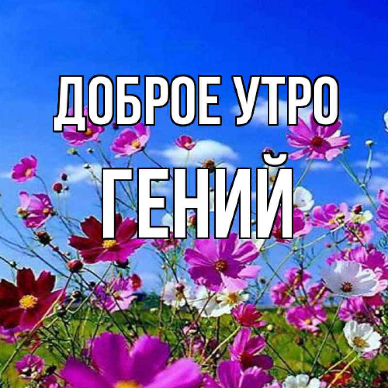 Картинка Доброе утро, Гений