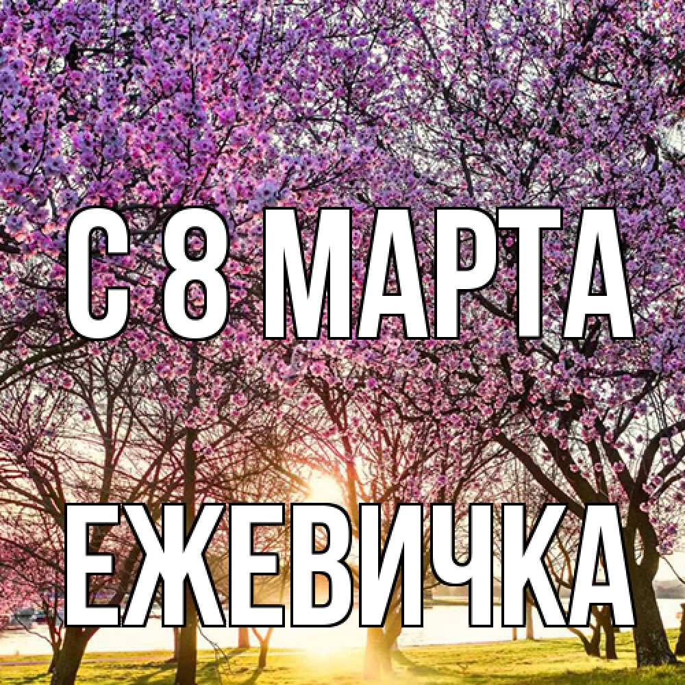 Открытка на каждый день с именем, ежевичка C 8 МАРТА международный женский день Прикольная открытка с пожеланием онлайн скачать бесплатно 