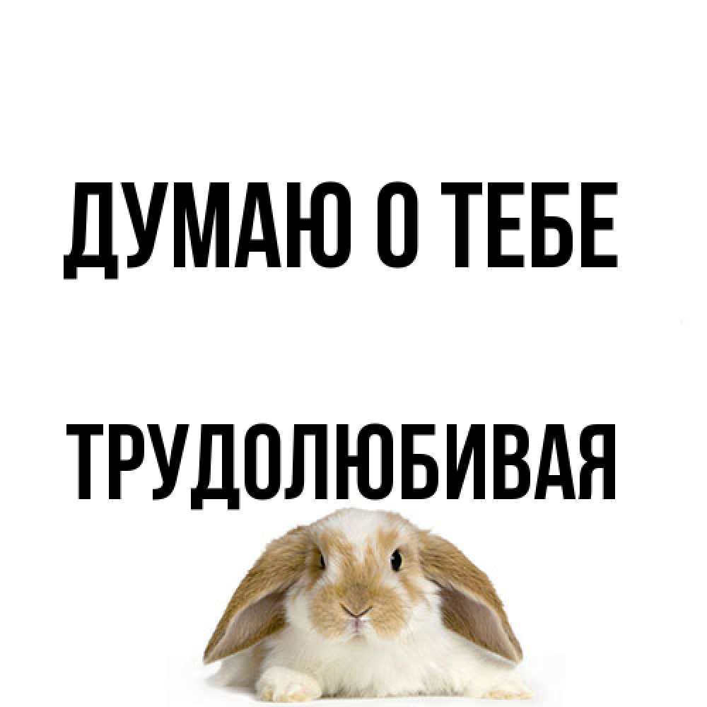 Открытка на каждый день с именем, Тpудолюбивая Думаю о тебе подписать своими руками онлайн Прикольная открытка с пожеланием онлайн скачать бесплатно 