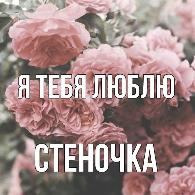 Картинка Я тебя люблю, Стеночка