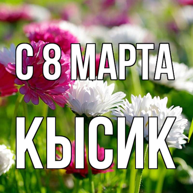 Картинка C 8 МАРТА, Кысик