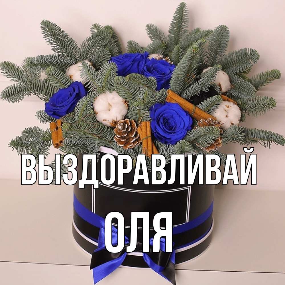 Открытка на каждый день с именем, Оля Выздоравливай короче кто то загрузил эти шишки Прикольная открытка с пожеланием онлайн скачать бесплатно 
