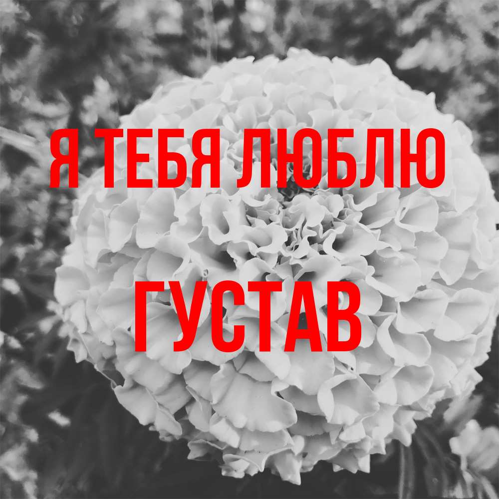 Открытка на каждый день с именем, Густав Я тебя люблю подпись Прикольная открытка с пожеланием онлайн скачать бесплатно 