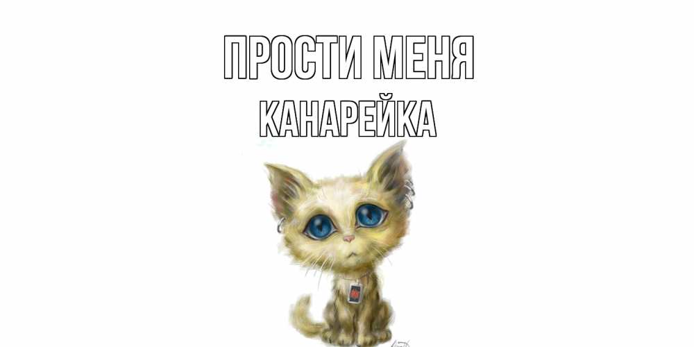Открытка на каждый день с именем, Канарейка Прости меня прости меня открытка с котиком Прикольная открытка с пожеланием онлайн скачать бесплатно 