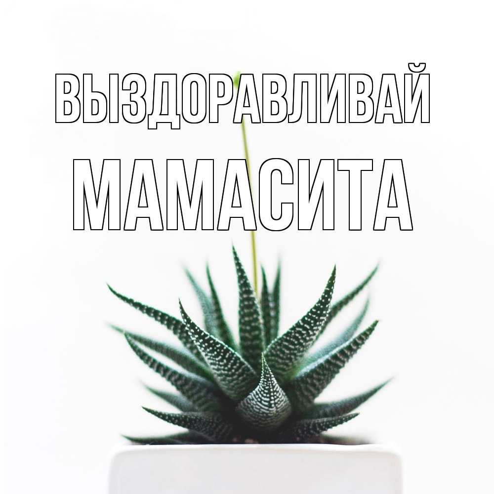 Открытка на каждый день с именем, Мамасита Выздоравливай короче это непонятная колючка Прикольная открытка с пожеланием онлайн скачать бесплатно 