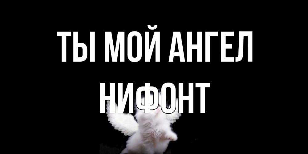 Открытка на каждый день с именем, Нифонт Ты мой ангел Кот ангел Прикольная открытка с пожеланием онлайн скачать бесплатно 