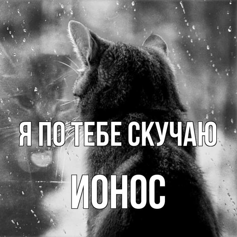 Картинка Я по тебе скучаю, Ионос