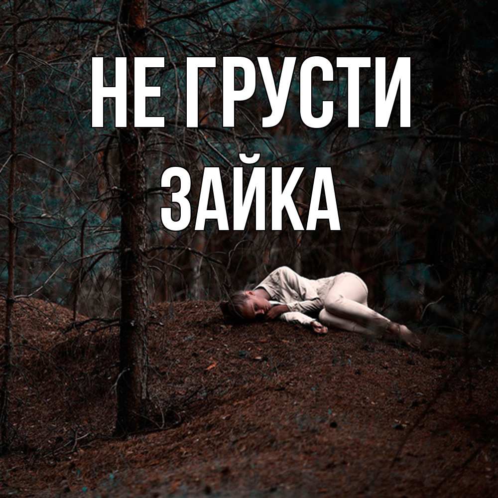 Открытка на каждый день с именем, Зайка Не грусти лес Прикольная открытка с пожеланием онлайн скачать бесплатно 