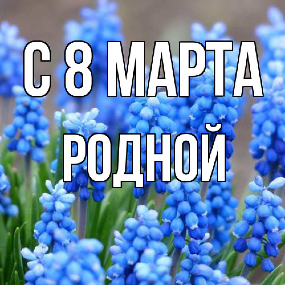 Открытка на каждый день с именем, Родной C 8 МАРТА Поздравительная открытка для женщин с цветами на праздничную дату Прикольная открытка с пожеланием онлайн скачать бесплатно 