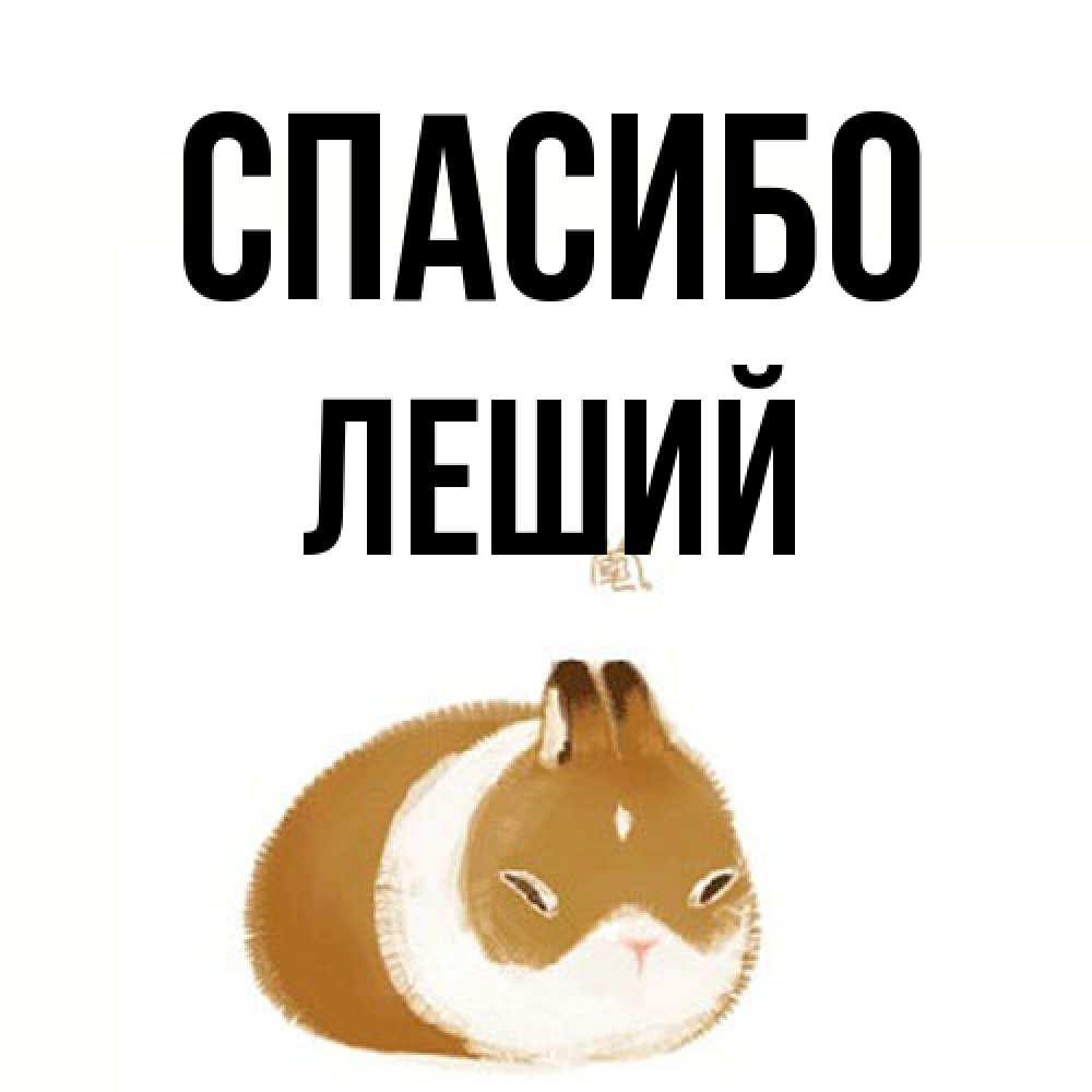 Открытка на каждый день с именем, Леший Спасибо коричнево белый домашний питомец Прикольная открытка с пожеланием онлайн скачать бесплатно 