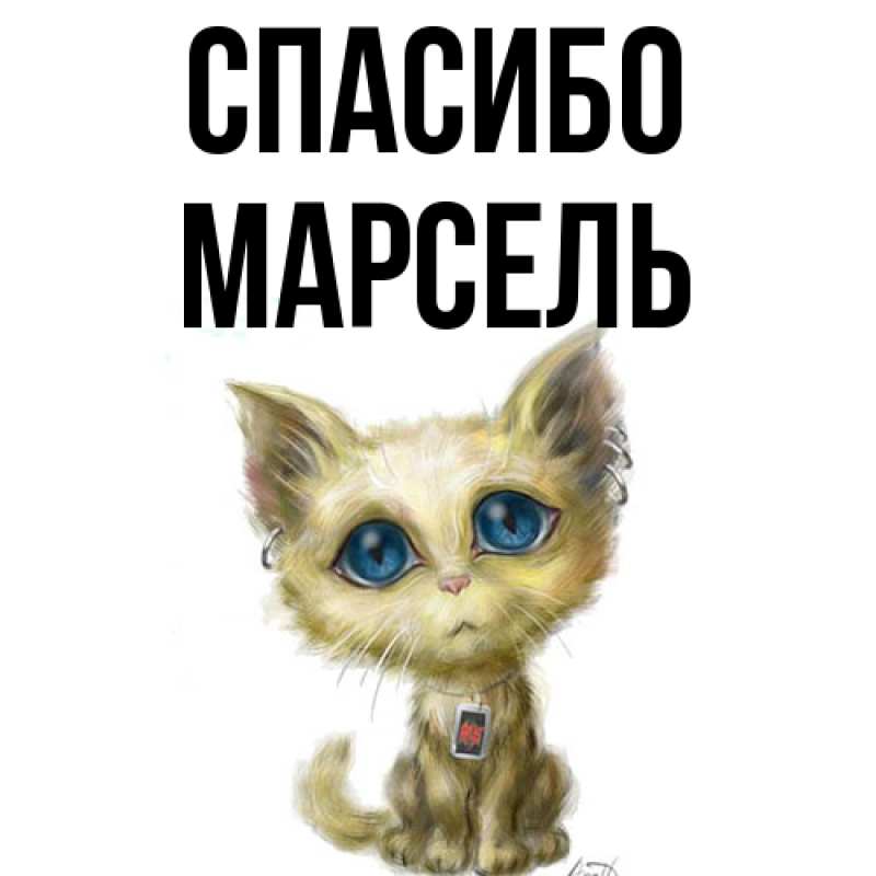 Картинка Спасибо, Марсель
