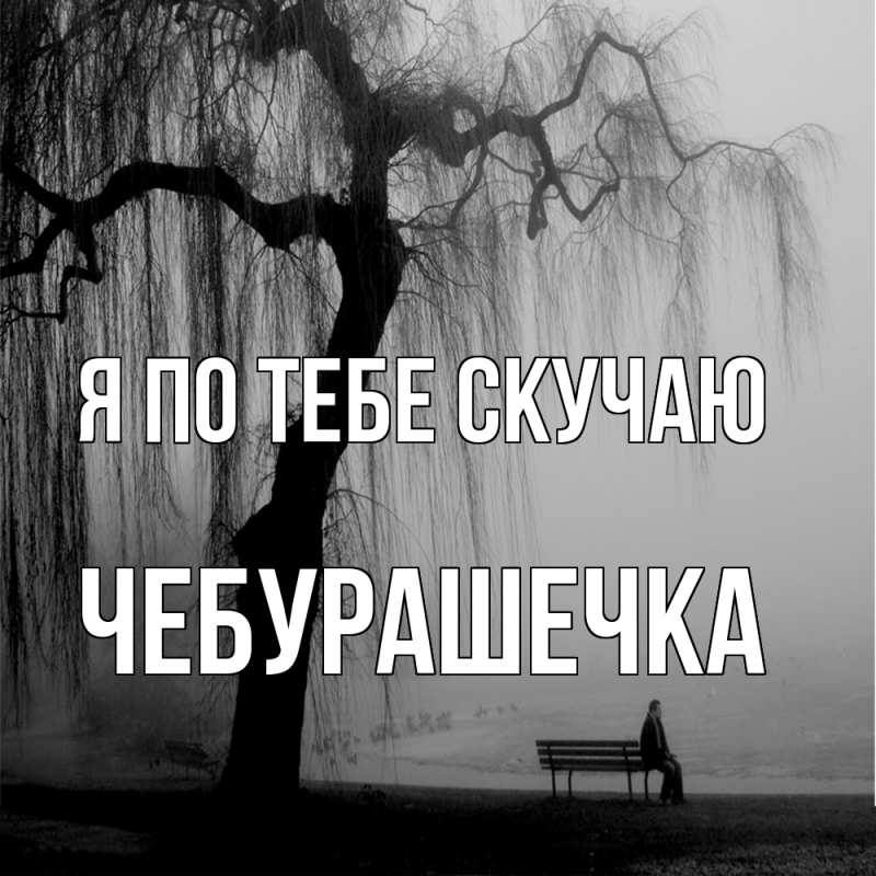 Картинка Я по тебе скучаю, Чебурашечка