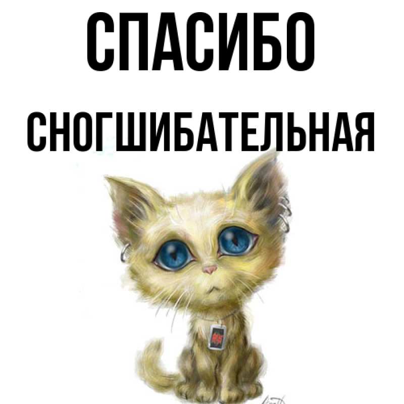 Картинка Спасибо, Сногшибательная