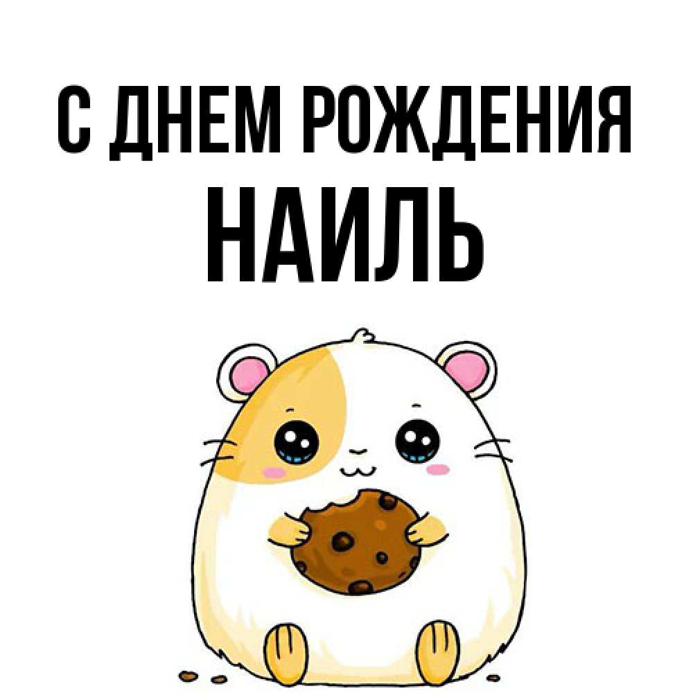Открытка на каждый день с именем, Наиль С днем рождения с днюхой Прикольная открытка с пожеланием онлайн скачать бесплатно 