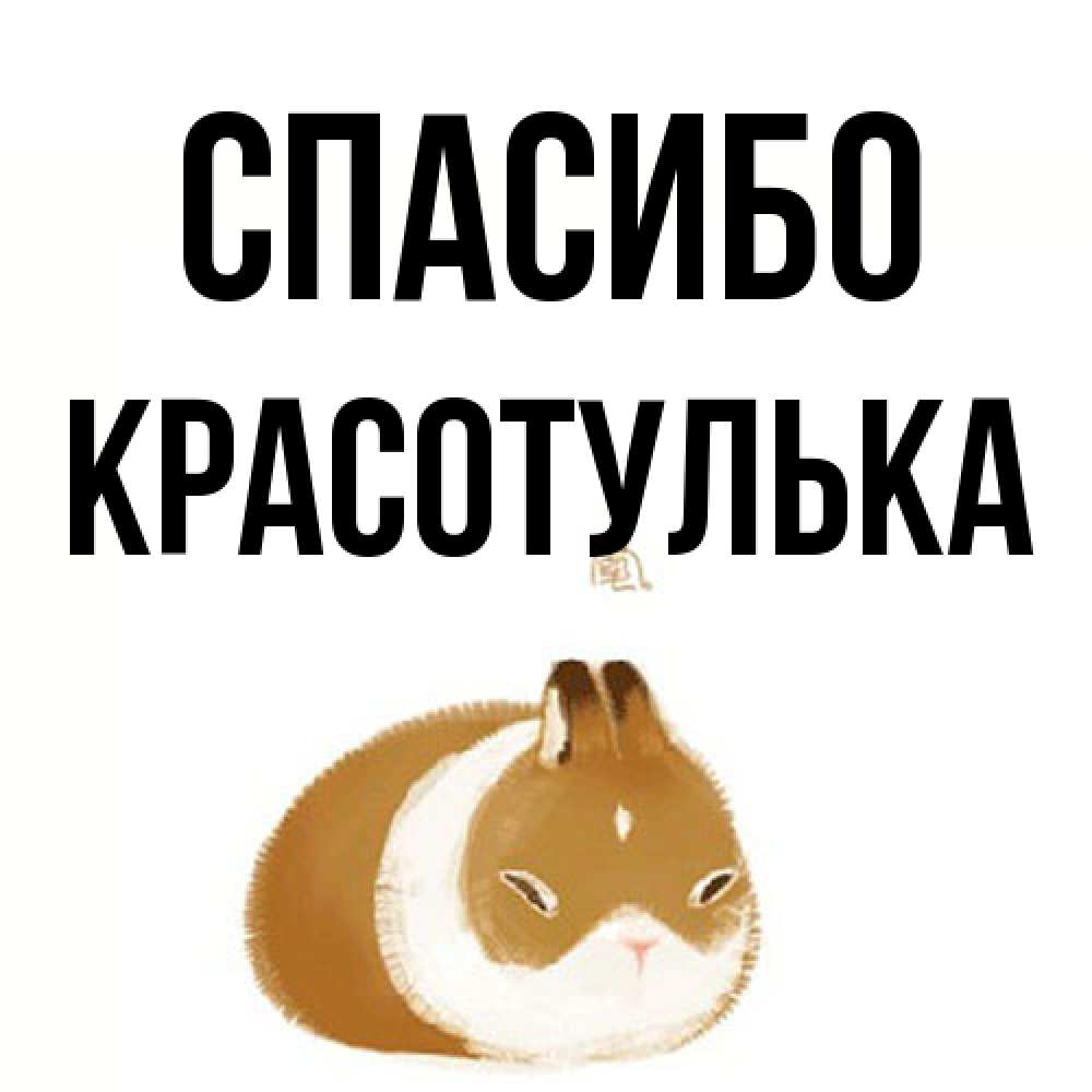 Открытка на каждый день с именем, красотулька Спасибо коричнево белый домашний питомец Прикольная открытка с пожеланием онлайн скачать бесплатно 