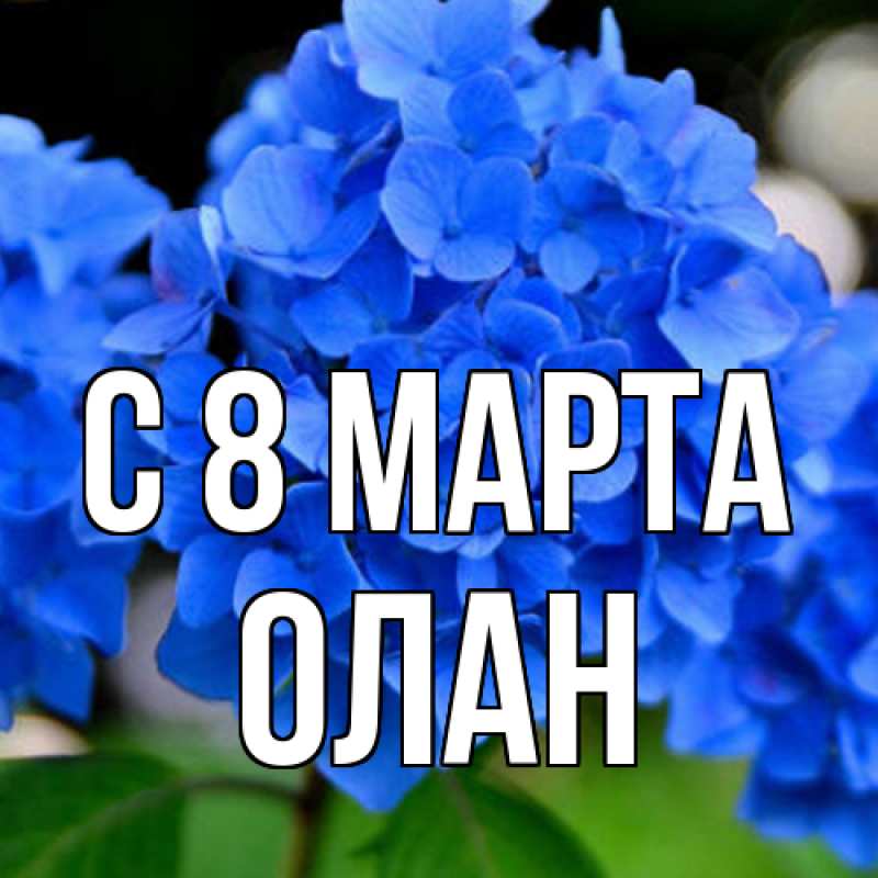 Картинка C 8 МАРТА, Олан