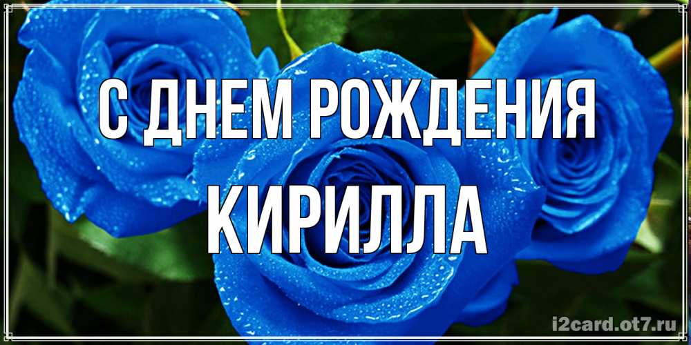 Открытка на каждый день с именем, Кирилла С днем рождения розы с синим цветом Прикольная открытка с пожеланием онлайн скачать бесплатно 