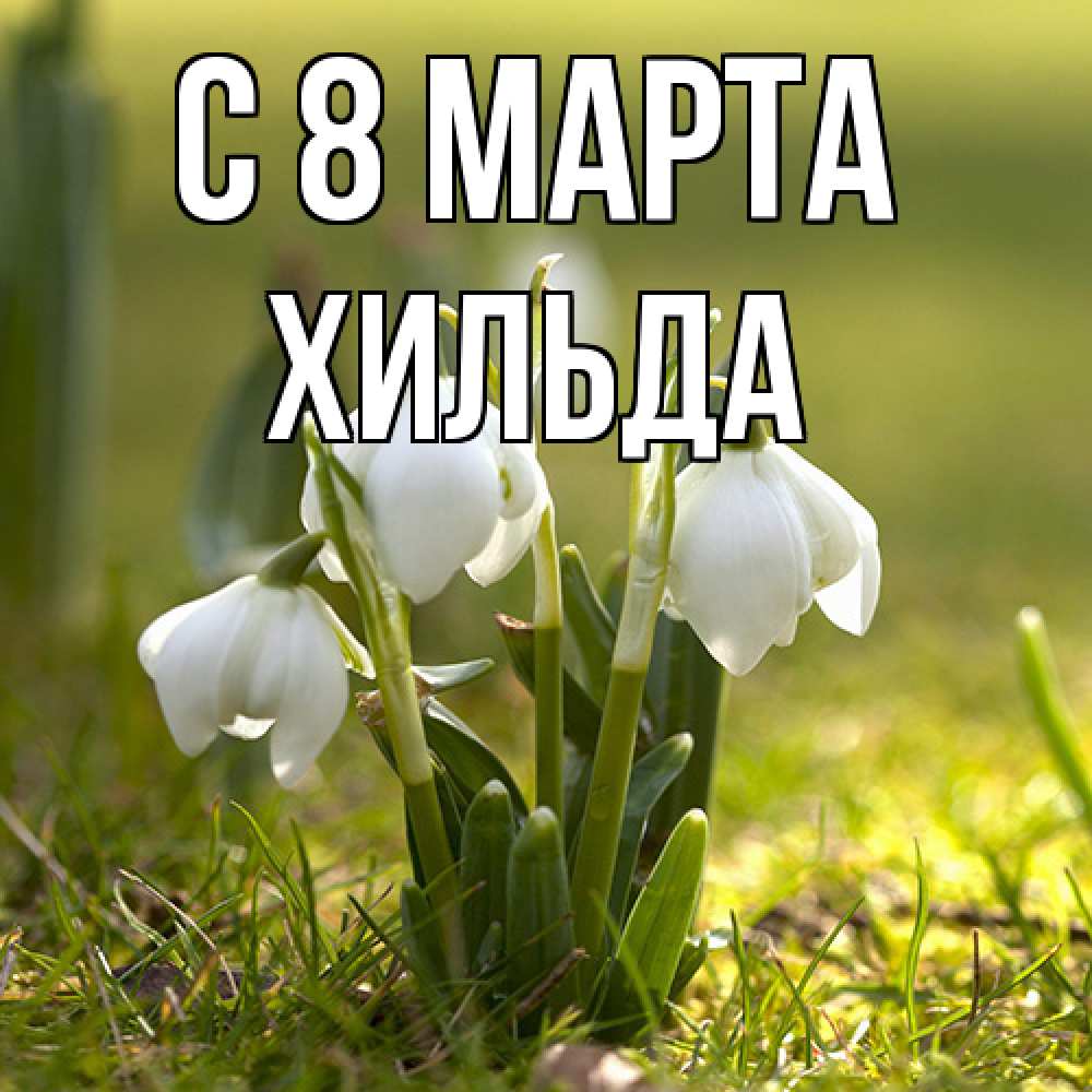 Открытка на каждый день с именем, Хильда C 8 МАРТА ранние цветы 2 Прикольная открытка с пожеланием онлайн скачать бесплатно 
