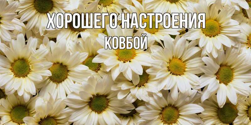 Картинка Хорошего настроения, Ковбой