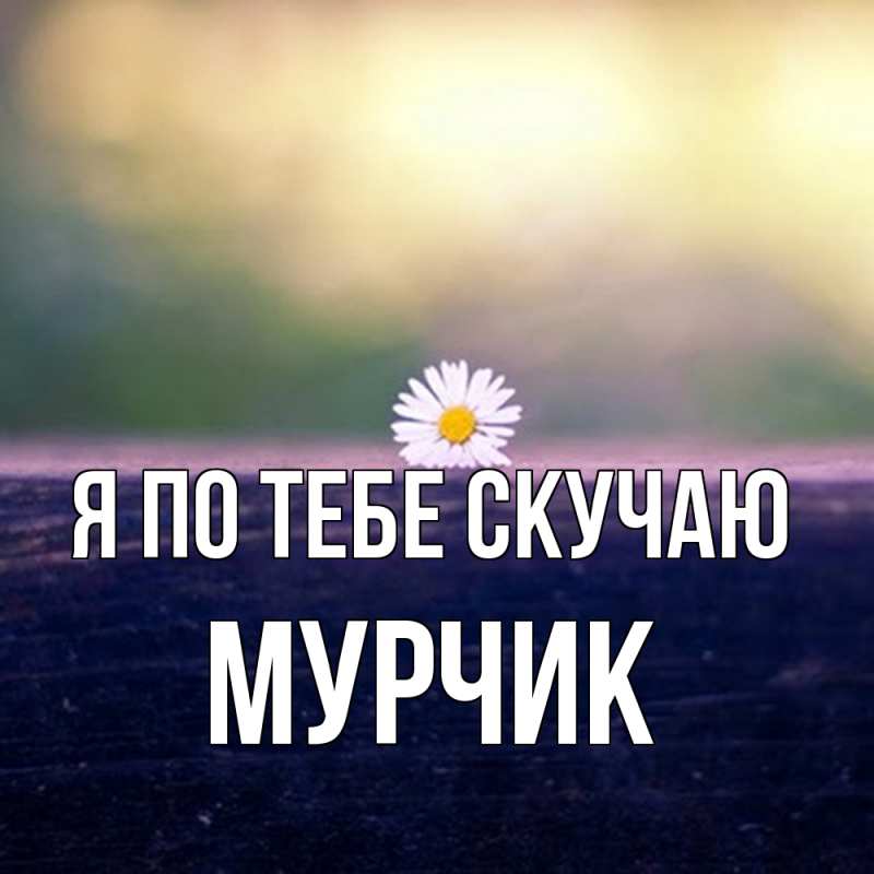 Картинка Я по тебе скучаю, Мурчик