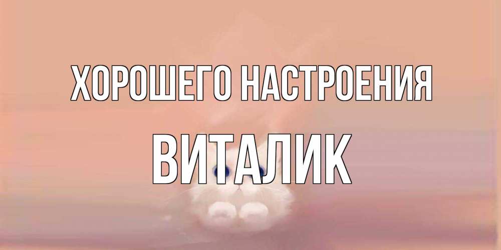Открытка на каждый день с именем, Виталик Хорошего настроения кошка Прикольная открытка с пожеланием онлайн скачать бесплатно 