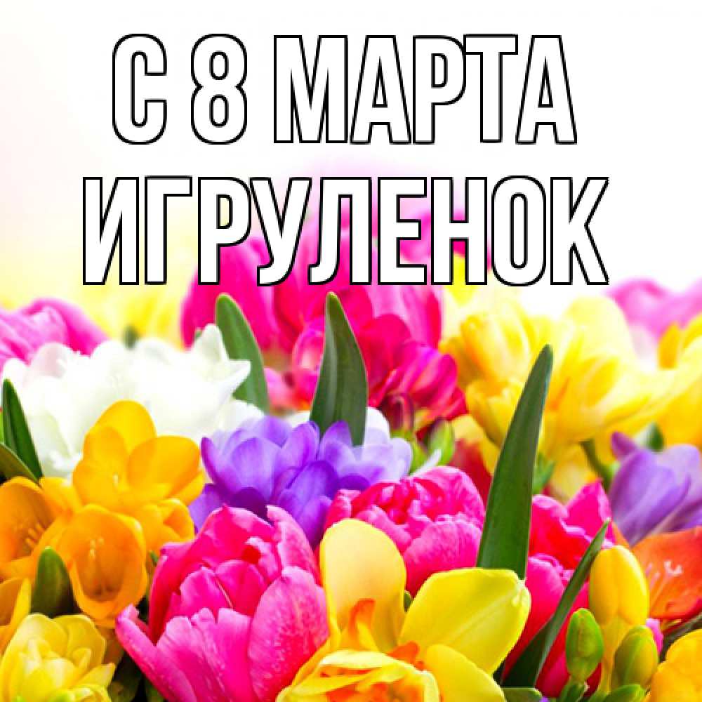 Открытка на каждый день с именем, Игpуленок C 8 МАРТА тюльпаны Прикольная открытка с пожеланием онлайн скачать бесплатно 