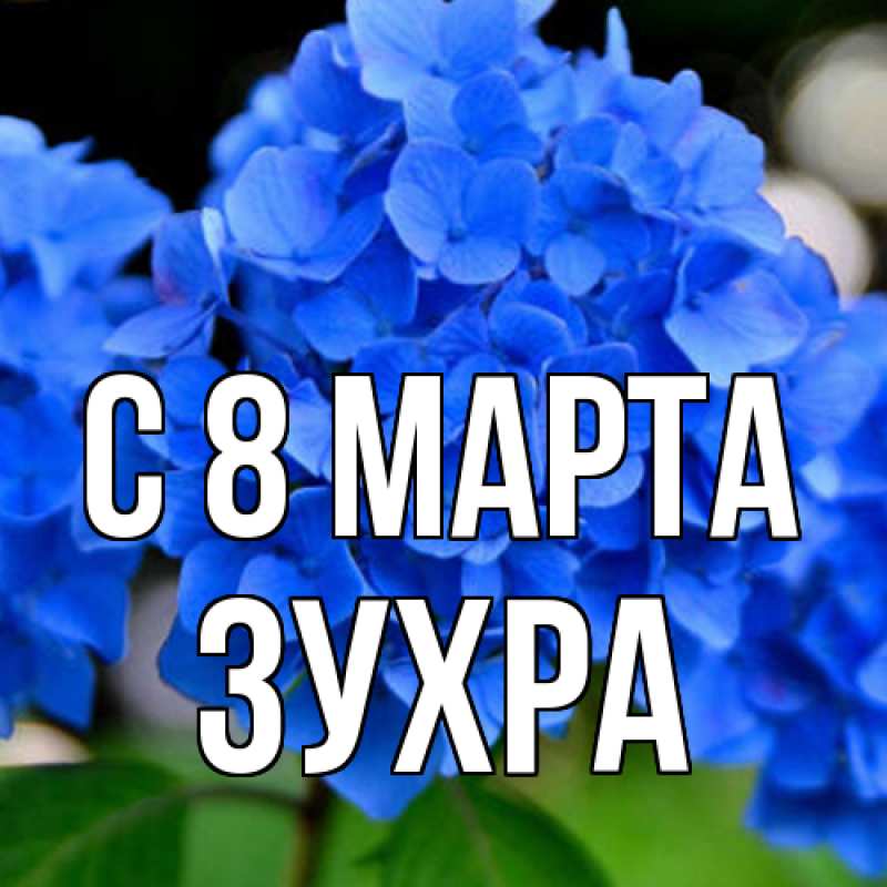 Картинка C 8 МАРТА, Зухра