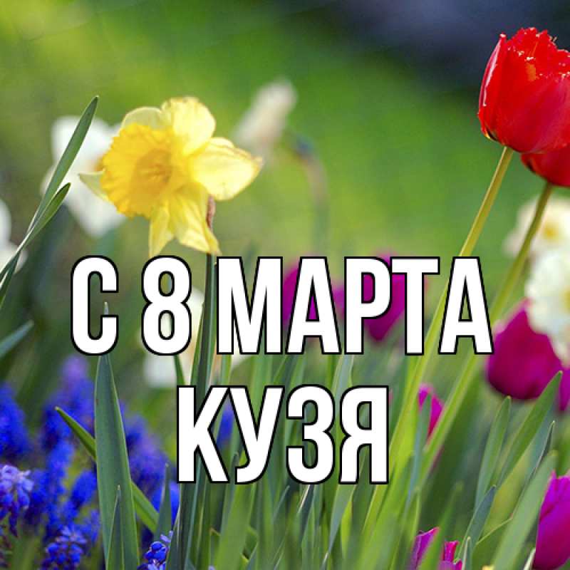 Картинка C 8 МАРТА, Кузя