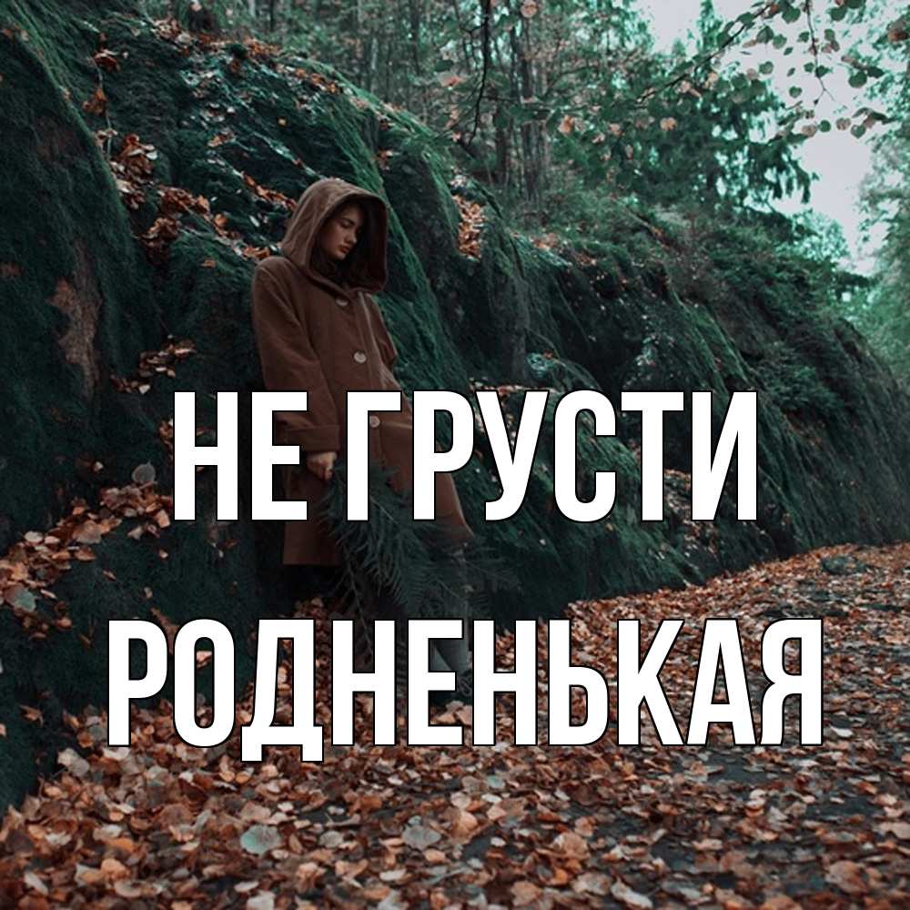 Открытка на каждый день с именем, Родненькая Не грусти осенний лес Прикольная открытка с пожеланием онлайн скачать бесплатно 