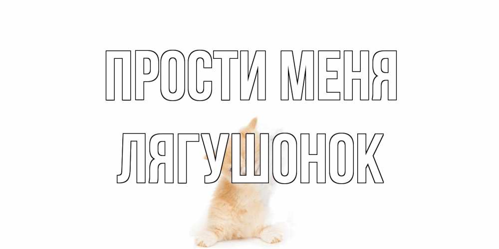Открытка на каждый день с именем, лягушонок Прости меня кот Прикольная открытка с пожеланием онлайн скачать бесплатно 