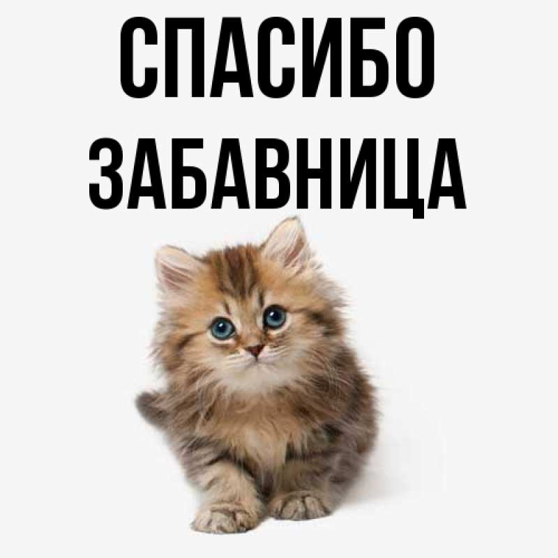 Картинка Спасибо, Забавница
