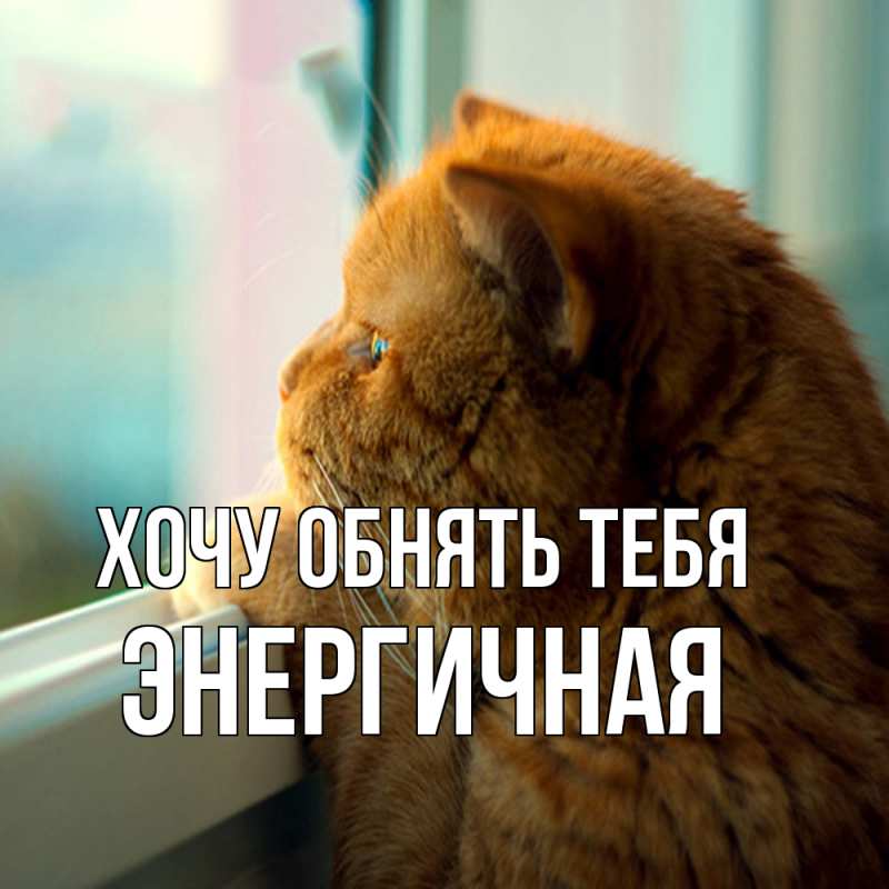 Картинка Хочу обнять тебя, Энергичная