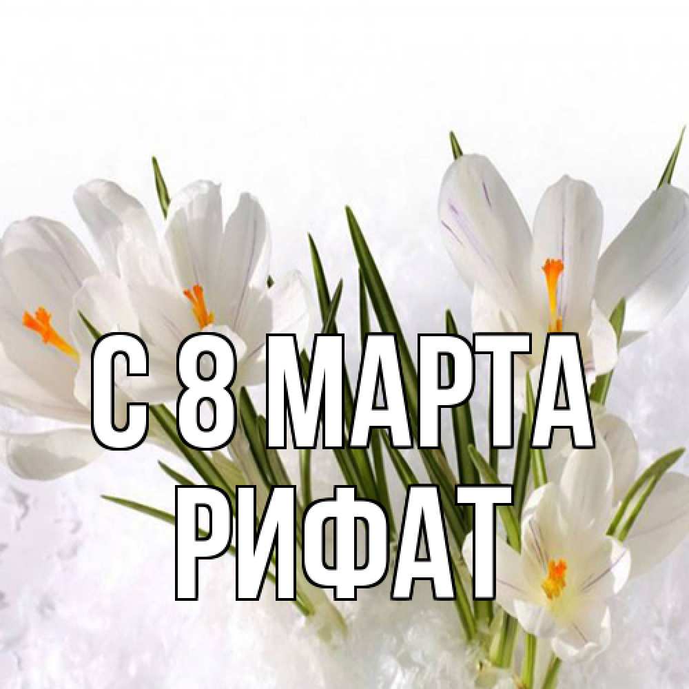 Открытка на каждый день с именем, Рифат C 8 МАРТА под снегом Прикольная открытка с пожеланием онлайн скачать бесплатно 
