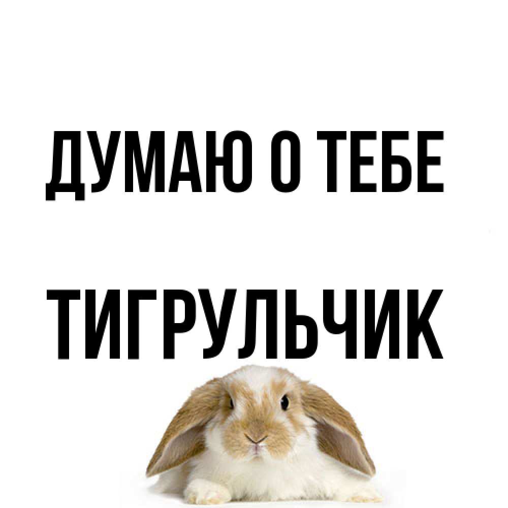 Открытка на каждый день с именем, Тигpульчик Думаю о тебе подписать своими руками онлайн Прикольная открытка с пожеланием онлайн скачать бесплатно 