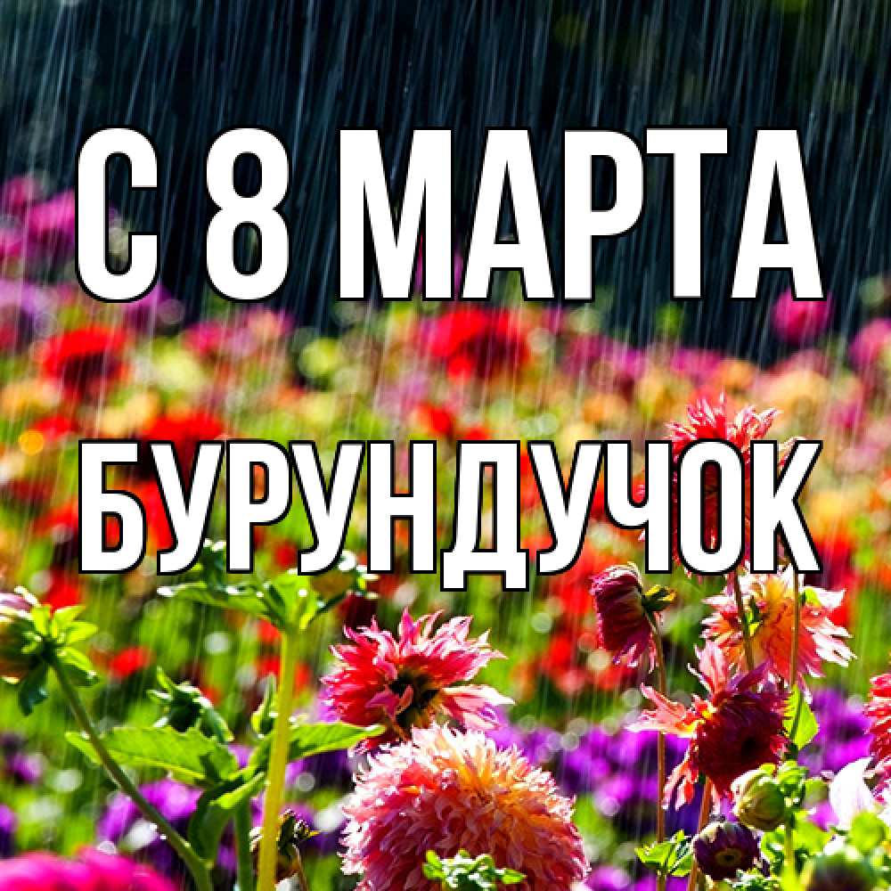Открытка на каждый день с именем, бурундучок C 8 МАРТА цветы под дождиком к международному женскому дню Прикольная открытка с пожеланием онлайн скачать бесплатно 