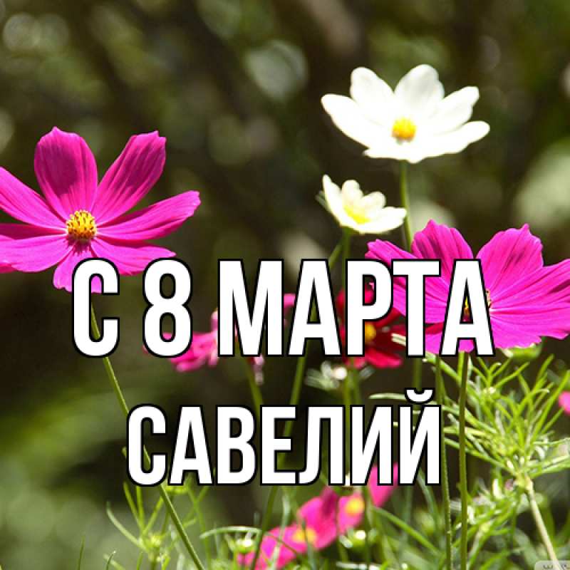 Картинка C 8 МАРТА, Савелий
