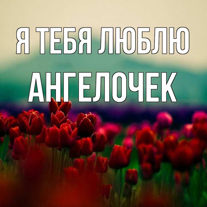 Картинка Я тебя люблю, Ангелочек