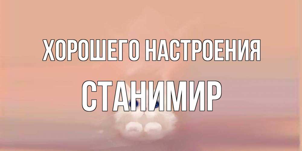 Открытка на каждый день с именем, Станимир Хорошего настроения кошка Прикольная открытка с пожеланием онлайн скачать бесплатно 