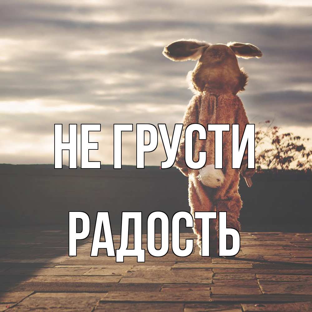 Открытка на каждый день с именем, радость Не грусти со спины Прикольная открытка с пожеланием онлайн скачать бесплатно 