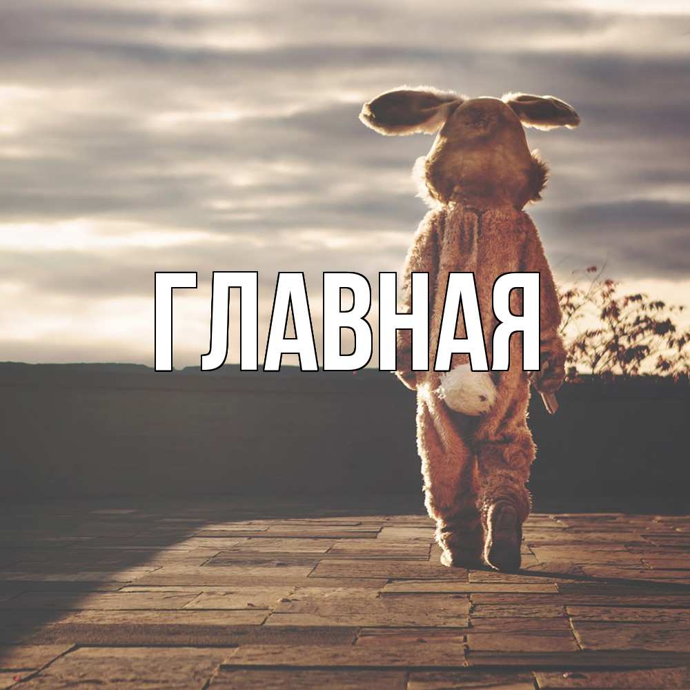 Открытка на каждый день с именем, настя Главная даже в костюме зайца Прикольная открытка с пожеланием онлайн скачать бесплатно 