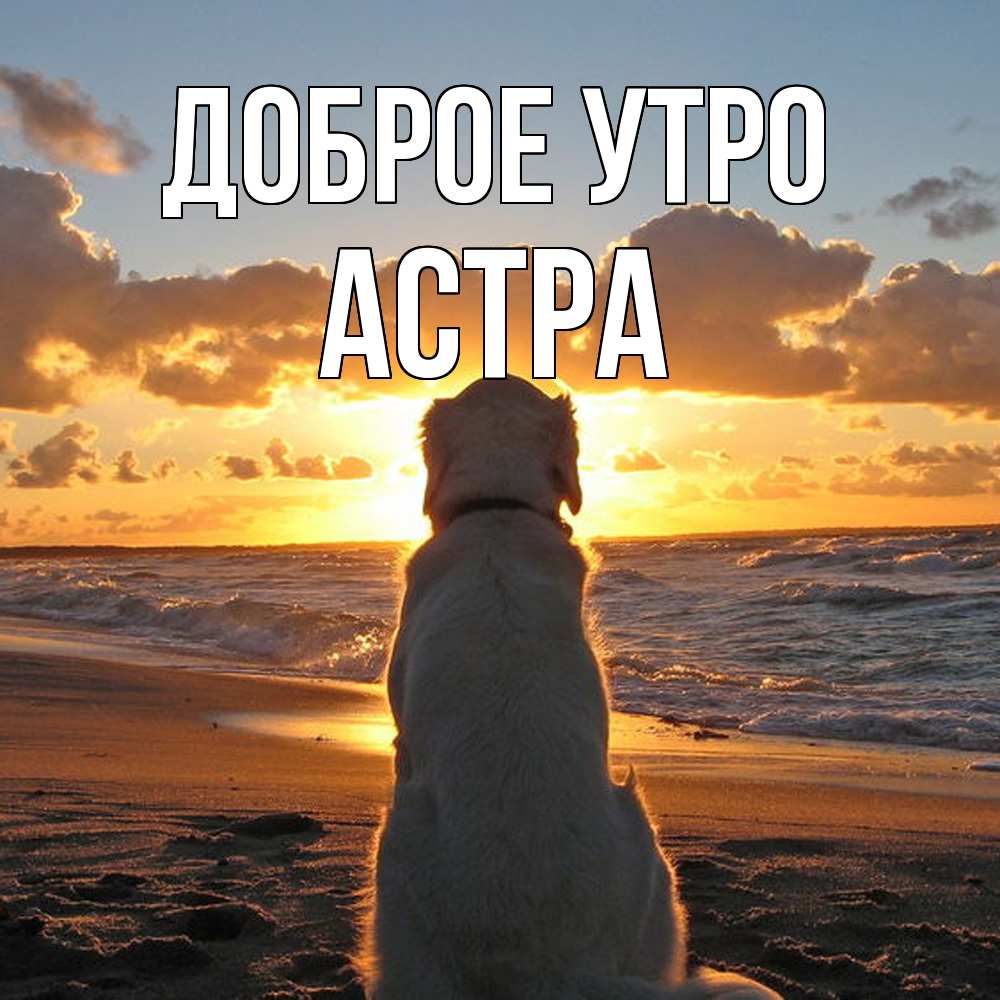 Открытка на каждый день с именем, Астра Доброе утро восход солнца Прикольная открытка с пожеланием онлайн скачать бесплатно 