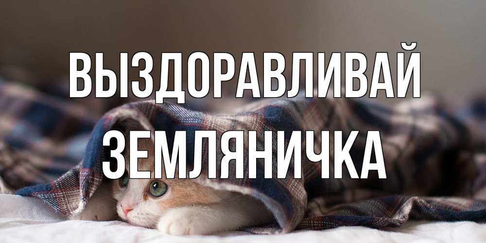 Открытка на каждый день с именем, Земляничка Выздоравливай не болейте с котиком Прикольная открытка с пожеланием онлайн скачать бесплатно 
