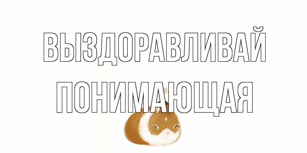 Открытка на каждый день с именем, Понимающая Выздоравливай морская свинка на открытке с пожеланиями не болеть Прикольная открытка с пожеланием онлайн скачать бесплатно 