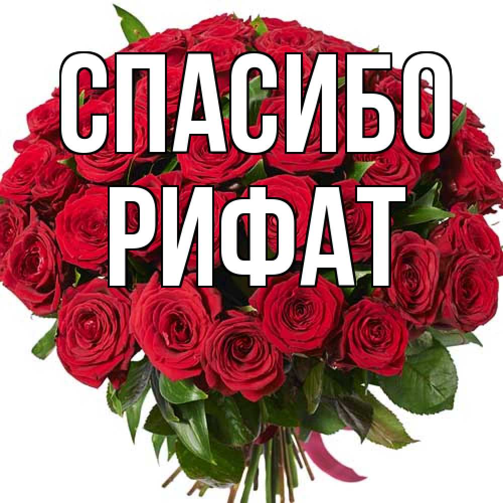 Открытка на каждый день с именем, Рифат Спасибо букет красных роз Прикольная открытка с пожеланием онлайн скачать бесплатно 